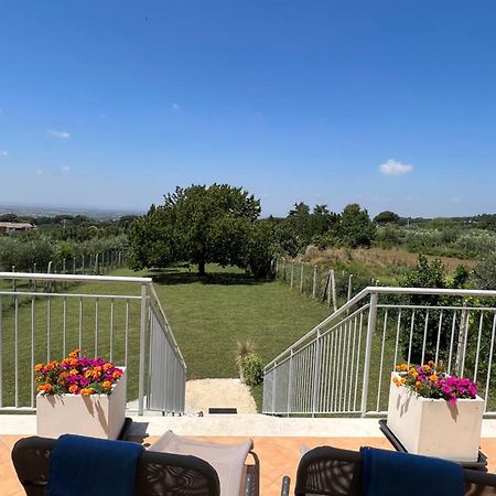 Апартаменты La Terrazza Sul Ciliegio Марино Экстерьер фото